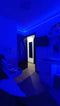40% OFF RGB Multi Light Roll 15 Feet Length